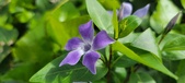 Enlarge photo 457