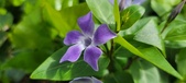 Enlarge photo 456