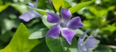 Enlarge photo 453