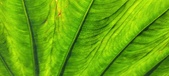 Enlarge photo 195