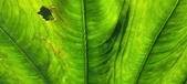 Enlarge photo 194
