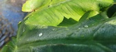 Enlarge photo 185