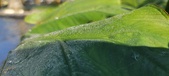 Enlarge photo 187