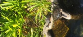 Enlarge photo 169