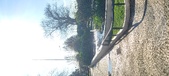 Enlarge photo 144