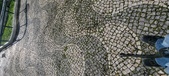 Enlarge photo 143