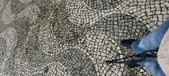 Enlarge photo 141