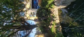 Enlarge photo 135