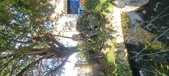 Enlarge photo 137