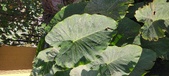 Enlarge photo 127