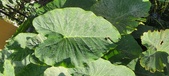 Enlarge photo 125