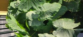Enlarge photo 123