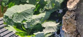 Enlarge photo 119