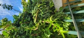 Enlarge photo 113