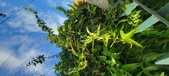 Enlarge photo 111