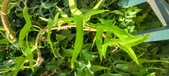 Enlarge photo 108