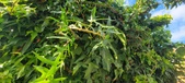 Enlarge photo 107