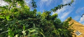 Enlarge photo 106