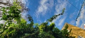 Enlarge photo 105