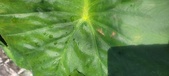 Enlarge photo 449