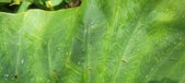 Enlarge photo 440