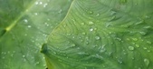 Enlarge photo 436