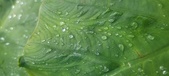 Enlarge photo 434