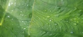 Enlarge photo 433