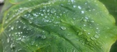 Enlarge photo 428