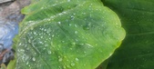 Enlarge photo 426