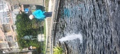 Enlarge photo 418