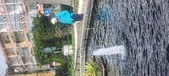 Enlarge photo 417