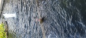 Enlarge photo 414