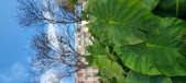 Enlarge photo 409