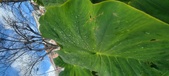 Enlarge photo 406
