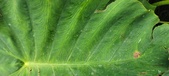 Enlarge photo 403