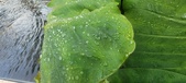 Enlarge photo 392