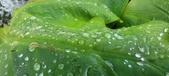 Enlarge photo 390