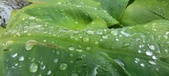 Enlarge photo 389