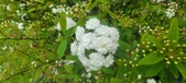 Enlarge photo 378