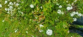 Enlarge photo 377