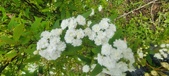 Enlarge photo 372