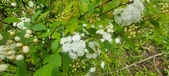 Enlarge photo 369
