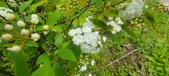 Enlarge photo 367