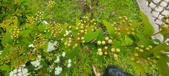 Enlarge photo 366