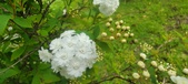 Enlarge photo 361