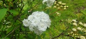 Enlarge photo 359