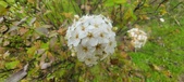 Enlarge photo 358