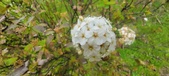 Enlarge photo 357