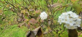Enlarge photo 356